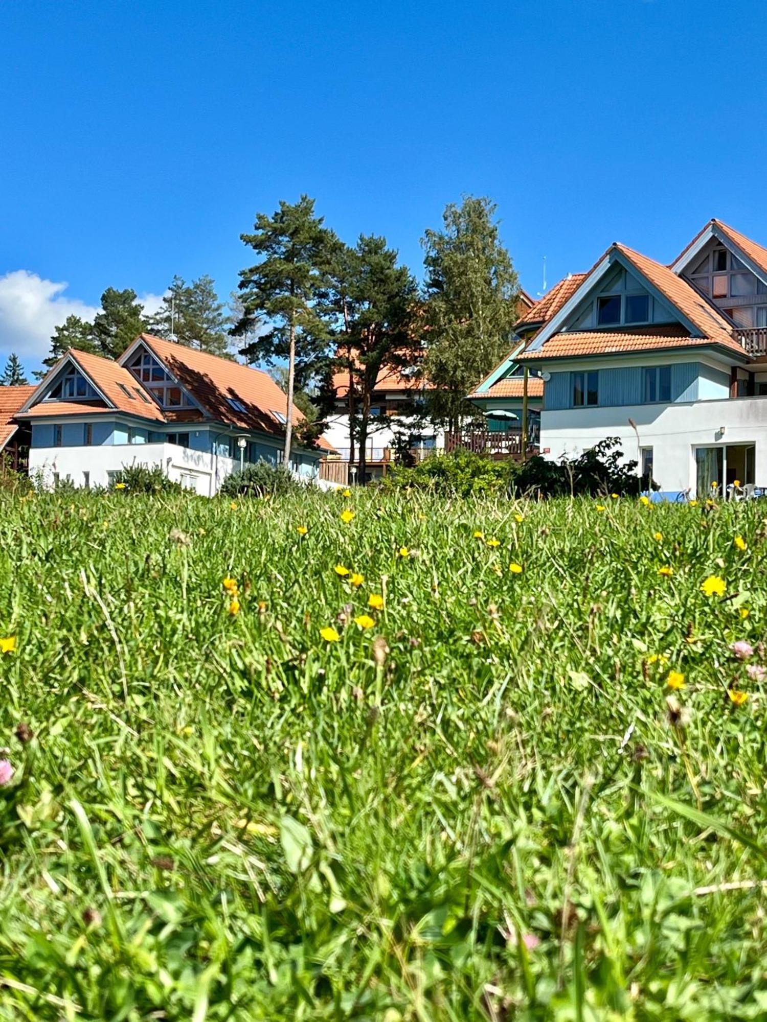 Lipno Beach Apartment Lipno nad Vltavou Kültér fotó